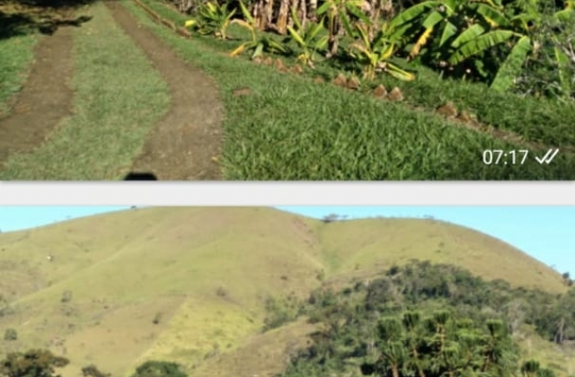Imóvel Taubaté :: Área Rural de Taubaté / Chácara / 3.000 m²
